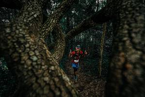 BIB: 
                            <button type="button" onclick="openModal(25679500)" class="btn btn-primary btn-sm float-right btn-popup" data-toggle="modal" data-target=".modal-high-quality">
                        <i class="fas fa-shopping-cart"></i> Add to Cart
                    </button>
                                            <button type="button" onclick="isThisMe(25679500, true)" class="btn btn-success btn-sm float-right btn-popup btn-isme hidden" data-toggle="tooltip" data-placement="bottom" title="นี่คือรูปของคุณใช่ไหม คลิกที่นี่เพื่อเอาเข้าอัลบั้ม">
                        <i class="fas fa-plus"></i> Add to album
                    </button>
                    <button type="button" onclick="isThisMe(25679500, false)" class="btn btn-warning btn-sm float-right btn-popup btn-isnotme hidden">
                        <i class="fas fa-ban"></i> Remove from album
                    </button>